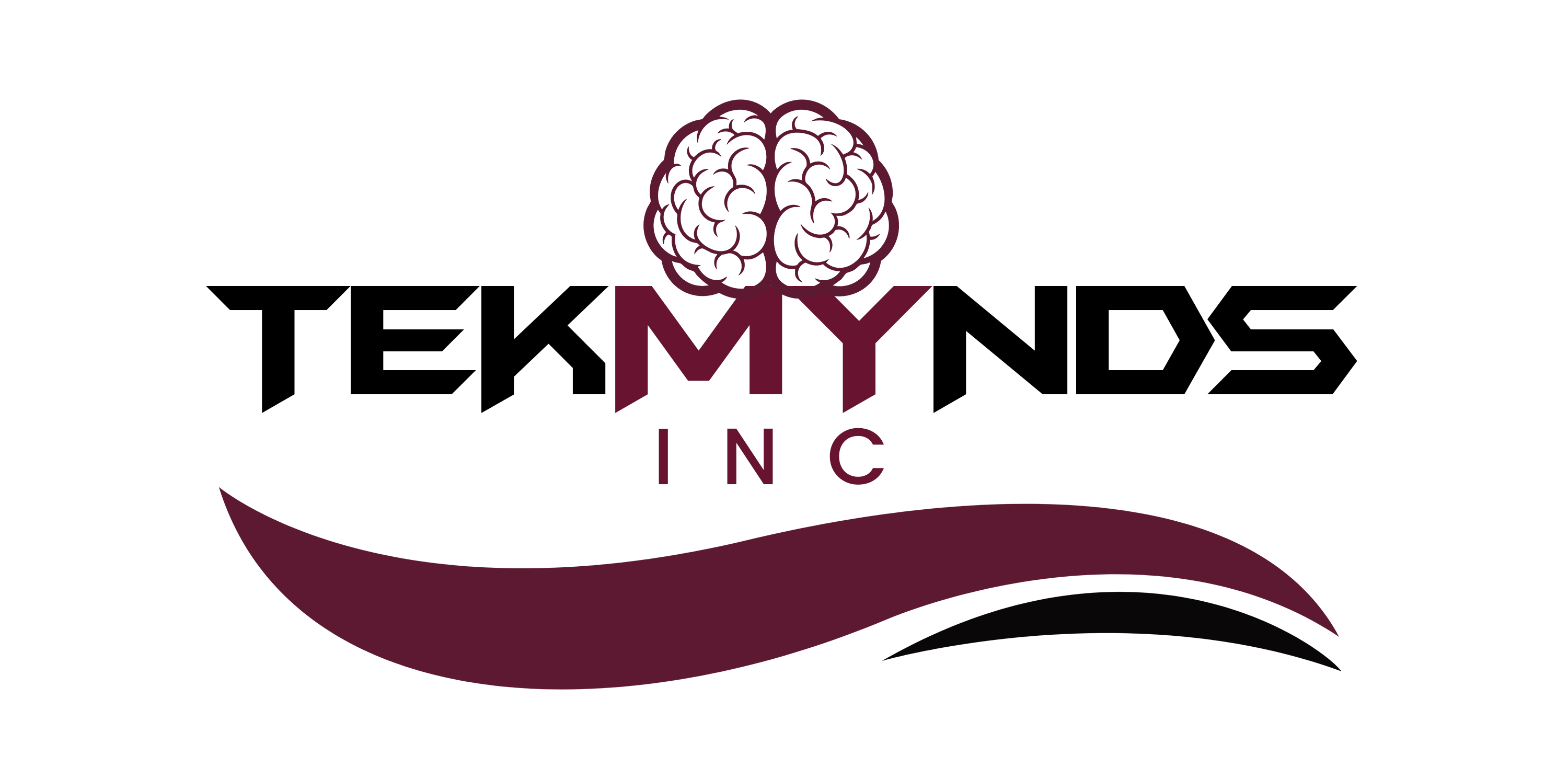 Tekmynds INC logo